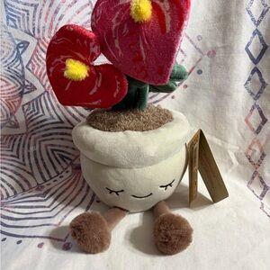Russ greenhouse flamingo flower Plush Plant